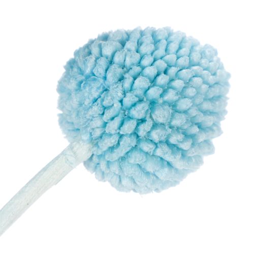 kohteita Craspedia-kuivakukkakoriste maljakkoon, minimalistinen tyyli, pitkäikäinen kesäkoriste, 55 cm, 20 kpl