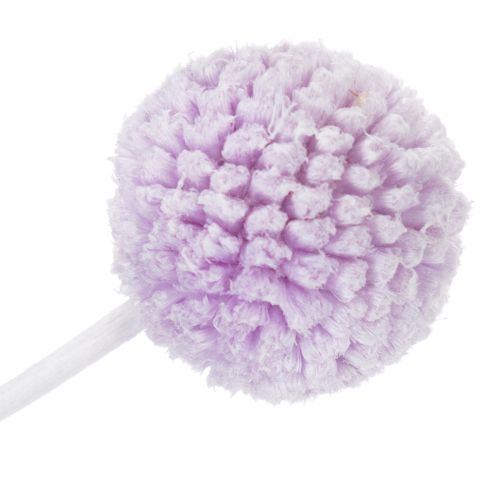 kohteita Craspedia-kuivakukkia moderniin pöytäkoristeeseen kotonasi, 55 cm, 20 kpl