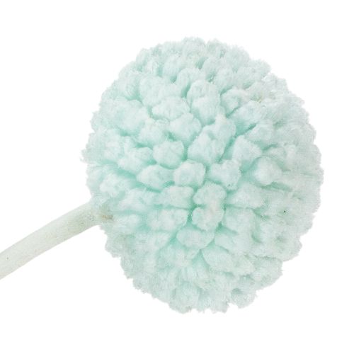 kohteita Kuivattuja Craspedia-kukkia, koristeellinen kimppu olohuoneeseen, pöytäkoristeeksi, häihin, 55 cm, 20 kpl