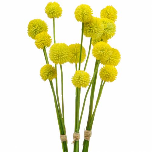 Floristik24 Drumstiks Craspedia Yellow Keinotekoinen puutarhakukka Silkkikukkia 15kpl