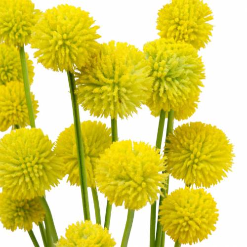 Floristik24 Drumstiks Craspedia Yellow Keinotekoinen puutarhakukka Silkkikukkia 15kpl