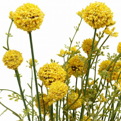 Floristik24 Keinotekoinen Craspedia keltaisissa rumputikuissa 3 kpl