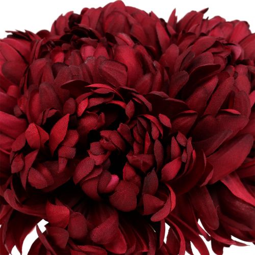 Floristik24 Krysanteemikimppu Bordeaux 28cm 6kpl 6kpl