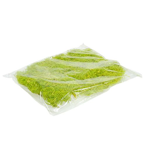 Floristik24 Kihara sammal vaaleanvihreä 350g