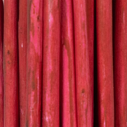 kohteita Kuivattu koristeellinen kiharapajun oksa luovaan kukka-asetteluun ja kodin asusteihin 80 cm 70 g