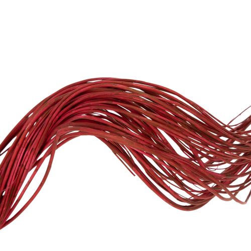 kohteita Kuivattu koristeellinen kiharapajun oksa luovaan kukka-asetteluun ja kodin asusteihin 80 cm 70 g