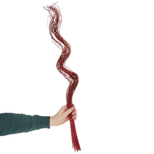 kohteita Kuivattu koristeellinen kiharapajun oksa luovaan kukka-asetteluun ja kodin asusteihin 80 cm 70 g