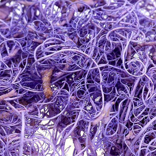 kohteita Kihara sammal vaalean violetti 350g
