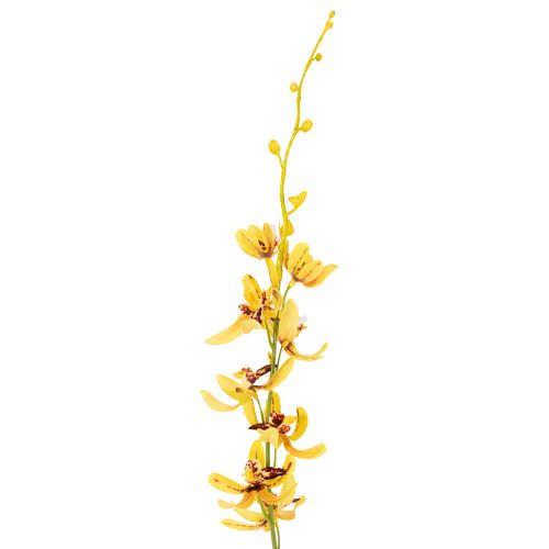 kohteita Keinotekoinen Cymbidium-orkidea kukkavarreksi tyylikkääseen koristeeseen, 95 cm, 2 kpl
