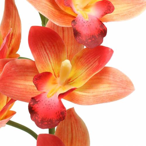 Floristik24 Orkidea tekokukka Cymbidium Orange 74cm