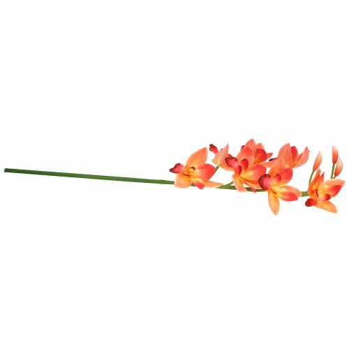 Floristik24 Orkidea tekokukka Cymbidium Orange 74cm