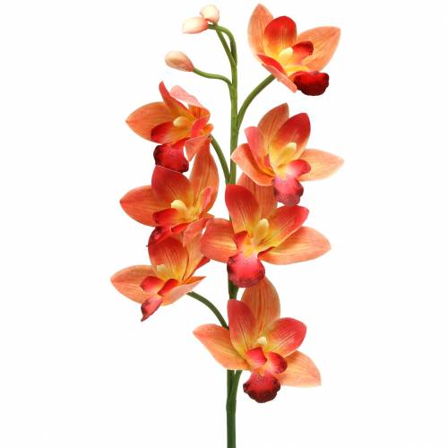 Floristik24 Orkidea tekokukka Cymbidium Orange 74cm