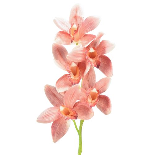 Cymbidium orkidea keinotekoinen 5 kukkaa persikka 65cm