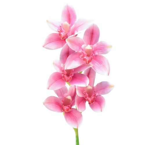 kohteita Cymbidium orkidea keinotekoinen 5 kukkaa vaaleanpunainen 65cm