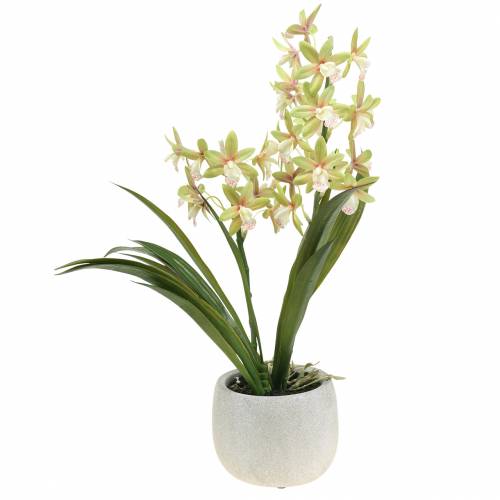 Floristik24 Orchid Cymbidium Green ruukussa Keinotekoinen K46cm
