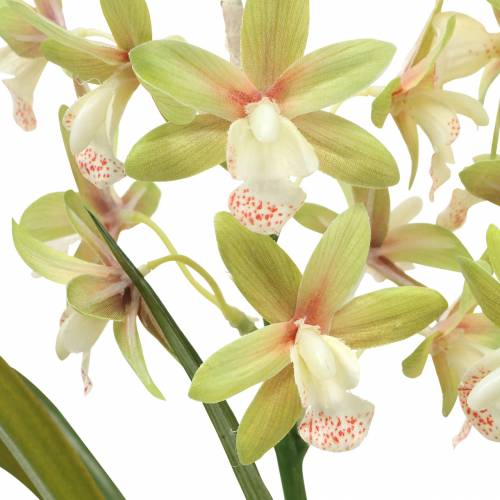 Floristik24 Orchid Cymbidium Green ruukussa Keinotekoinen K46cm