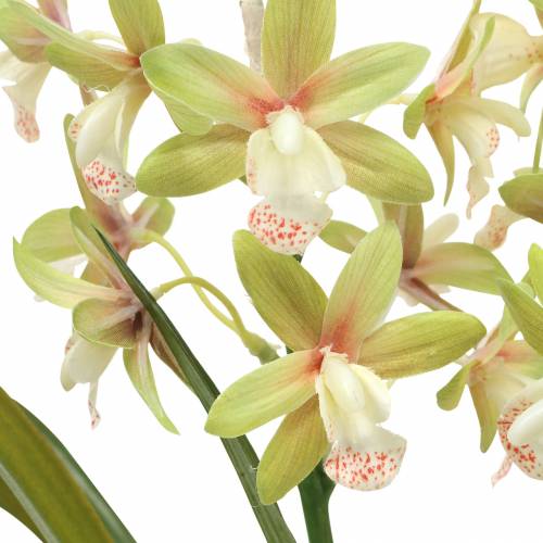 kohteita Orchid Cymbidium Green ruukussa Keinotekoinen K46cm