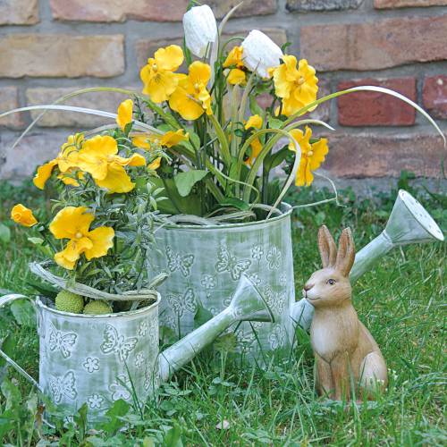 Floristik24 Kastelukannu perhosilla Vaaleanpunainen Ø10cm K10cm