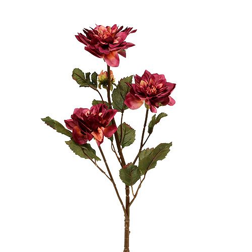 Floristik24 Dahlia Erika Ø10cm L68cm 3kpl