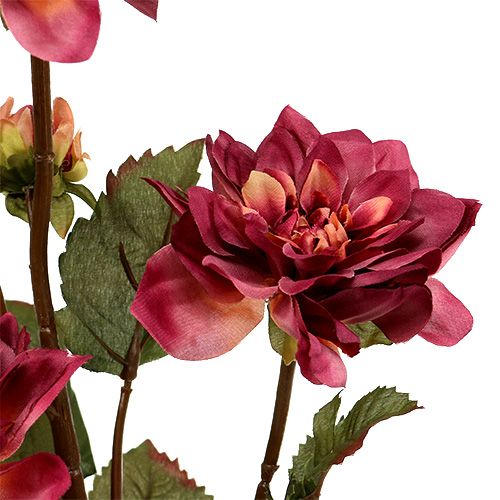 Floristik24 Dahlia Erika Ø10cm L68cm 3kpl