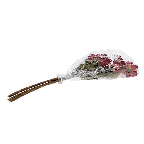 Floristik24 Dahlia Erika Ø10cm L68cm 3kpl