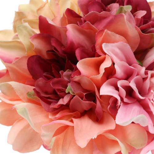 Floristik24 Dahlia-kimppu 28cm vaaleanpunainen, kerma 6kpl