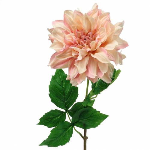 Floristik24 Dahlia vaaleanpunainen 62cm