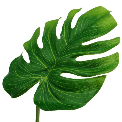 Floristik24 Deco Leaf Philo Leaf Green L11cm L29,5cm 3kpl