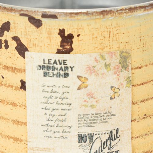 kohteita Koristeellinen peltirasia, kesäaprikoosin väri, metallirasia, kukkaruukku, Ø8cm K7.5cm