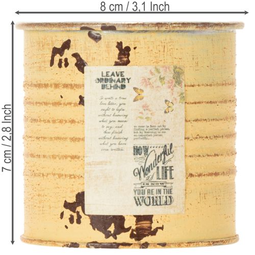 kohteita Koristeellinen peltirasia, kesäaprikoosin väri, metallirasia, kukkaruukku, Ø8cm K7.5cm