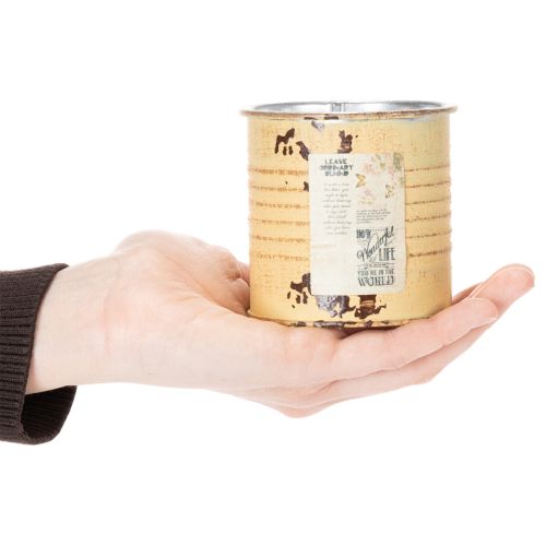 kohteita Koristeellinen peltirasia, kesäaprikoosin väri, metallirasia, kukkaruukku, Ø8cm K7.5cm