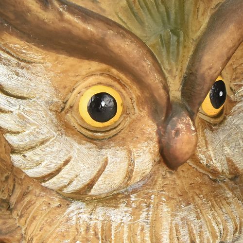 Floristik24 Koristeellinen pöllöhahmo, käsinmaalattu syyskoriste, polyresiini, korkeus 14 cm