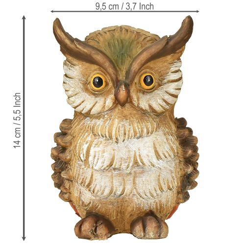 Floristik24 Koristeellinen pöllöhahmo, käsinmaalattu syyskoriste, polyresiini, korkeus 14 cm