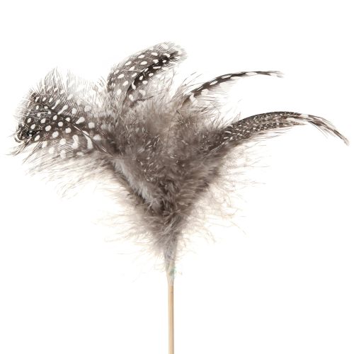 Koristehöyhenet helmikana pilkullinen Stick Natural L35cm 12 kpl