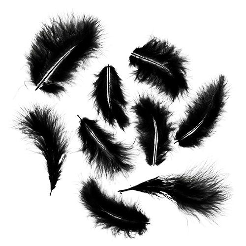 Floristik24 Lyhyet höyhenet 30g mustaa