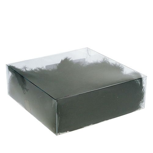 Floristik24 Lyhyet höyhenet 30g mustaa