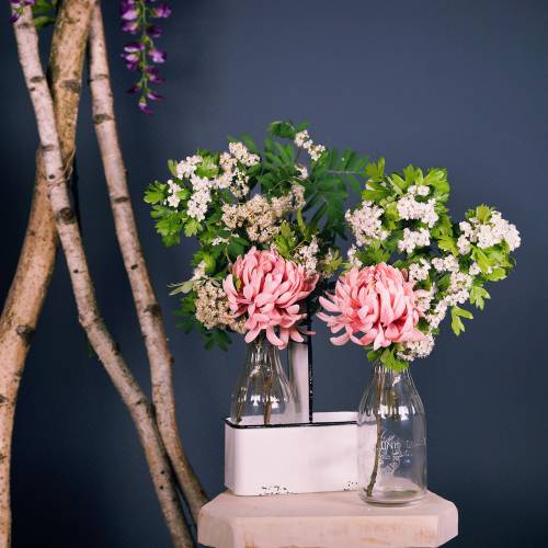 Floristik24 Koristeelliset pullomaljakot metallitelineessä H25cm