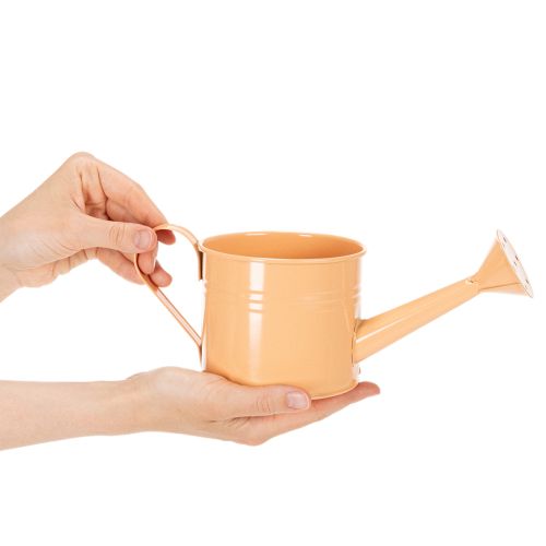 Koristeellinen kastelukannusarja pastellin lohenpunaisena, vihreänä, keltavihreänä - metallinen istutusastia Ø11cm K10cm, 8 kpl | Floristik24.fi