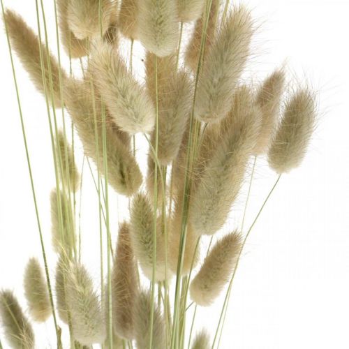 kohteita Kuivatut Lagurus, Lagurus kuivatut kukat, Natural Lagurus ruoho L30-70cm 45g