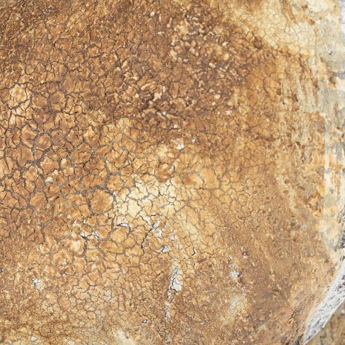 kohteita Koristeellinen kanihahmo kevään sisustukseen, 32 cm, 2 kpl