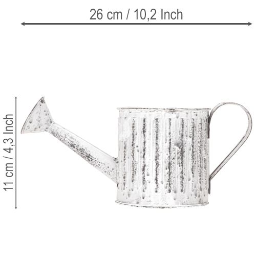 Koristeellinen kastelukannu, istutuskannu, kastelukannu istutukseen Ø10.5cm | Floristik24.fi