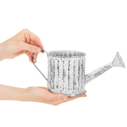 Koristeellinen kastelukannu, istutuskannu, kastelukannu istutukseen Ø10.5cm | Floristik24.fi