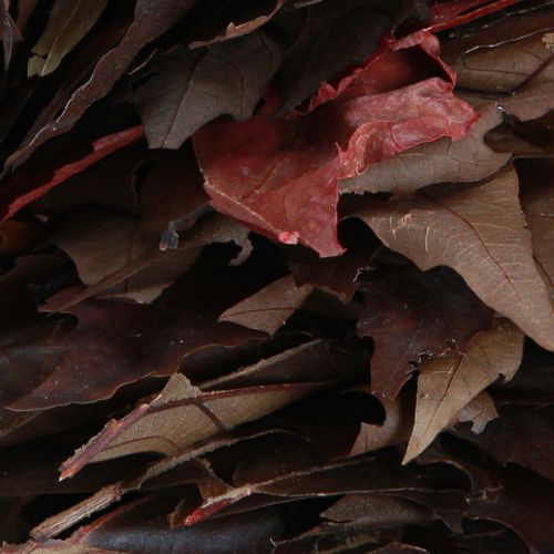 kohteita Koristeellinen seppele ripustamiseen sycamore lehtiseppeleestä luonnollinen Ø35cm