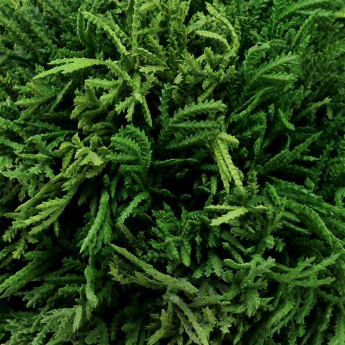 Floristik24 Keinotekoinen kasvipallo ripustettavaksi vihreäksi Ø20cm