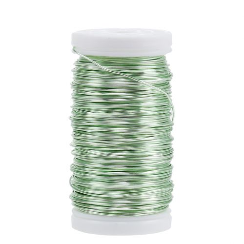 Floristik24 Deco emaloitu lanka mintunvihreä Ø0,50mm 50m 100g