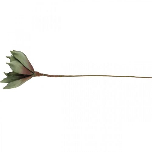 Floristik24 Deco lootuskukka, lootuksenkukka, silkkikukka vihreä L64cm
