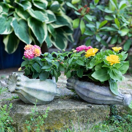 Floristik24 Koristeellinen unikkokapseli, betoniviljelmä, kätkö, hautakoristeet L26cm