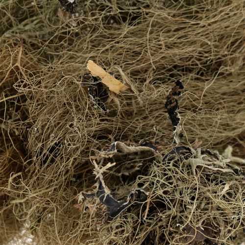 Floristik24 Koristeellinen sammalluonto käsitöitä varten 500g