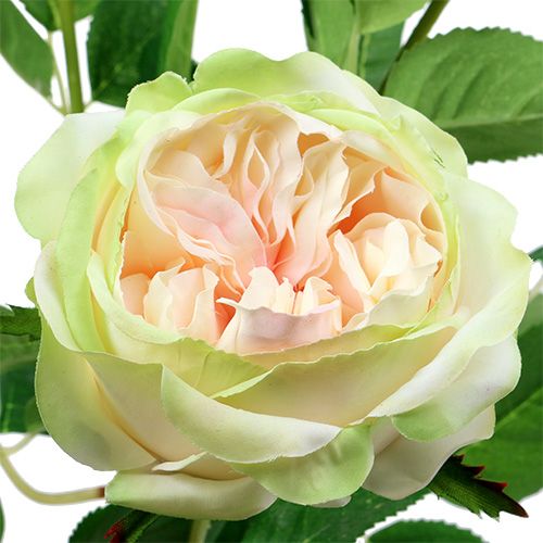 Floristik24 Deco Rose Cream Vaaleanpunainen Ø10cm 52cm 3kpl