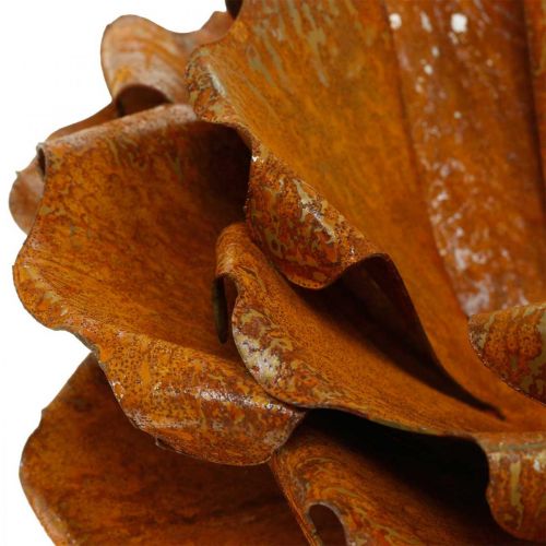 Floristik24 Koristeellinen ruusu ruosteessa, Kukka koristeluun, metallikukka Ø20cm